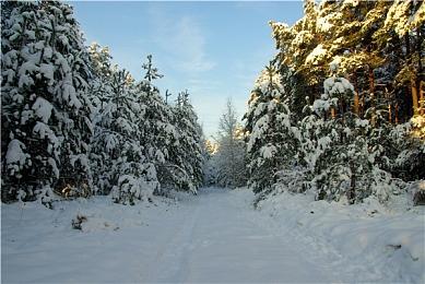 万代与任天堂签订合同 开发一款3D动作游戏的重制版